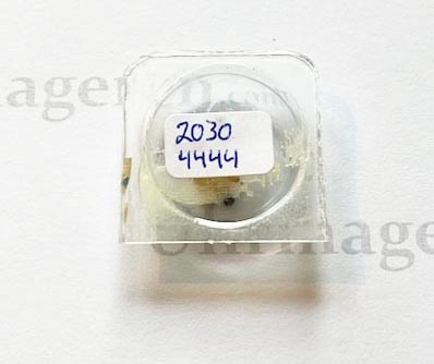Rolex Cal. 2030-4444. Wig-Wag pinion. NOS.